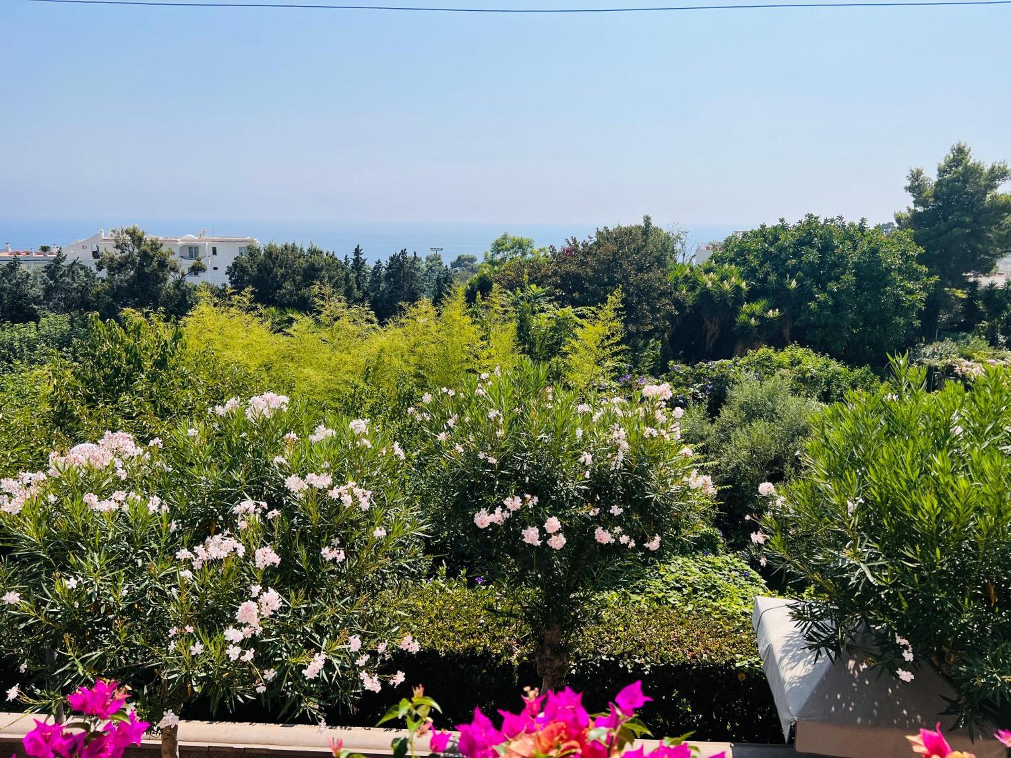 Luxury House In Villa Pompeiana Via Camerelle Con Terrazza Vista Mare Capri Exterior photo